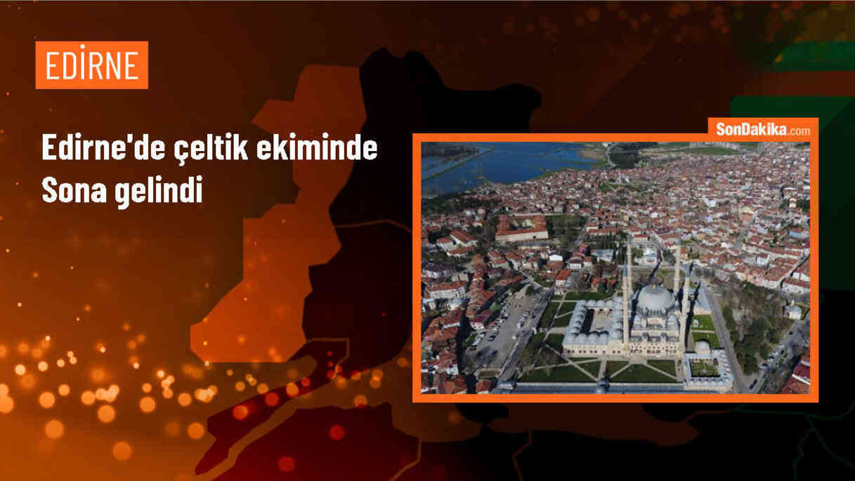 Edirne\'de çeltik ekimi tamamlandı