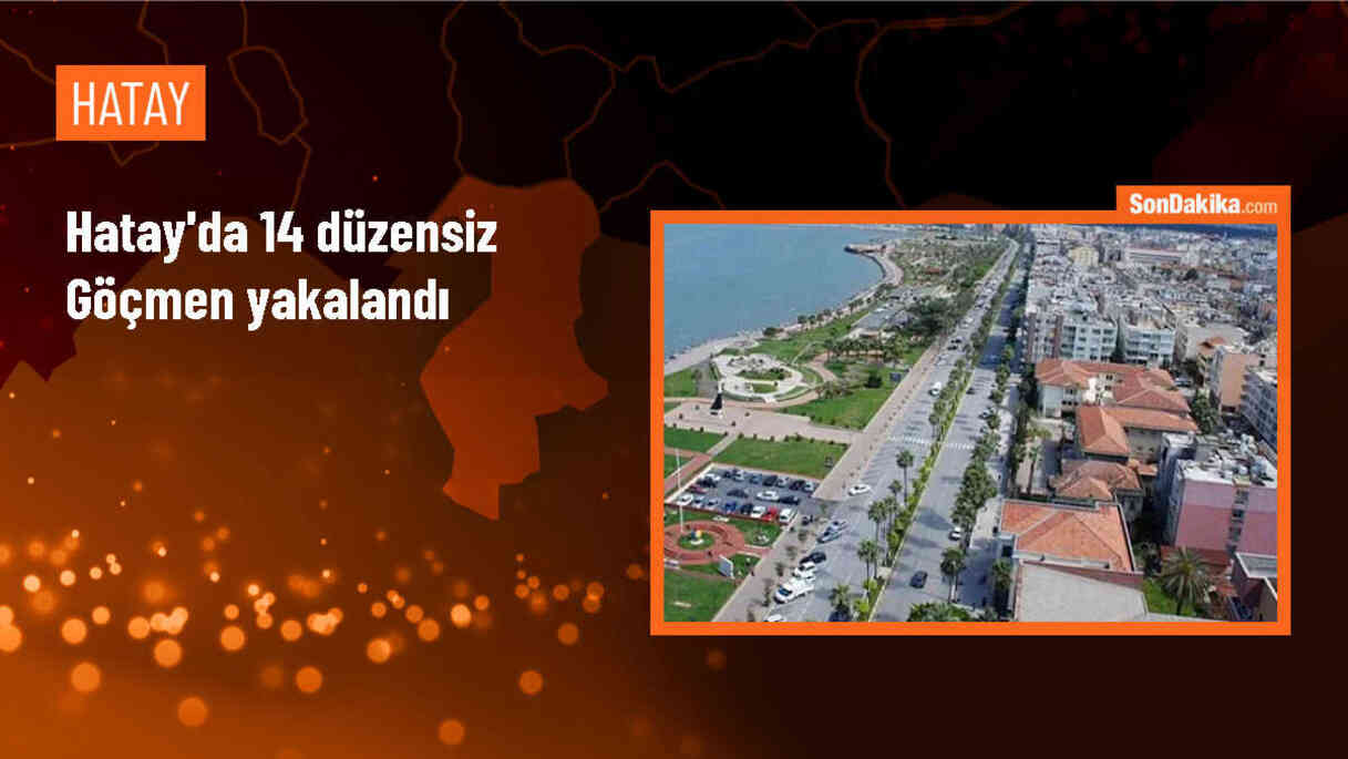 Hatay\'da 14 yabancı uyruklu göçmen yakalandı, 1 şüpheli tutuklandı