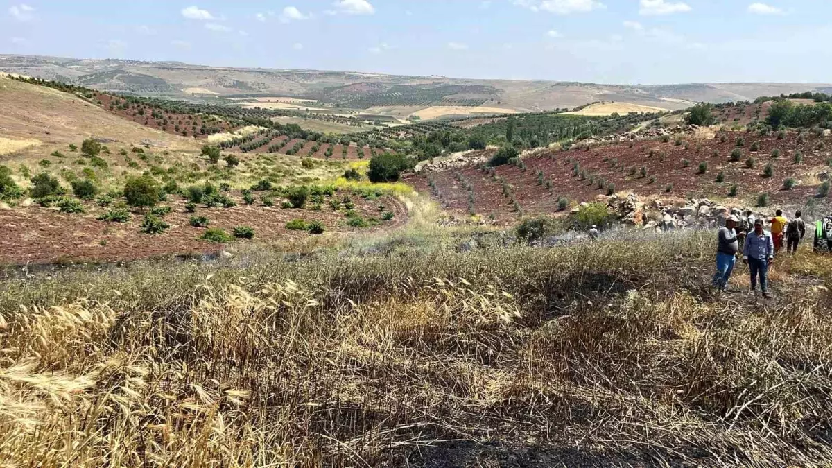 Kilis Gözkay köyünde çıkan yangında 15 dönüm buğday kül oldu