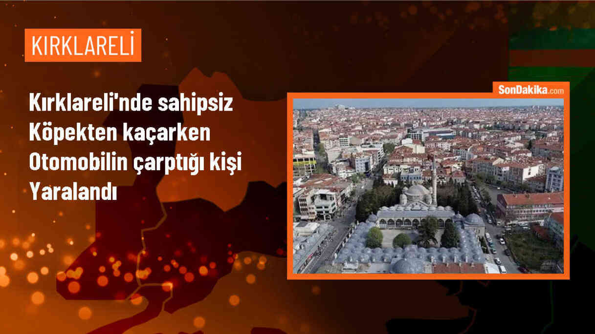 Lüleburgaz\'da sahipsiz köpeğin kovalamasından kaçarken otomobil çarptı, bir kişi yaralandı