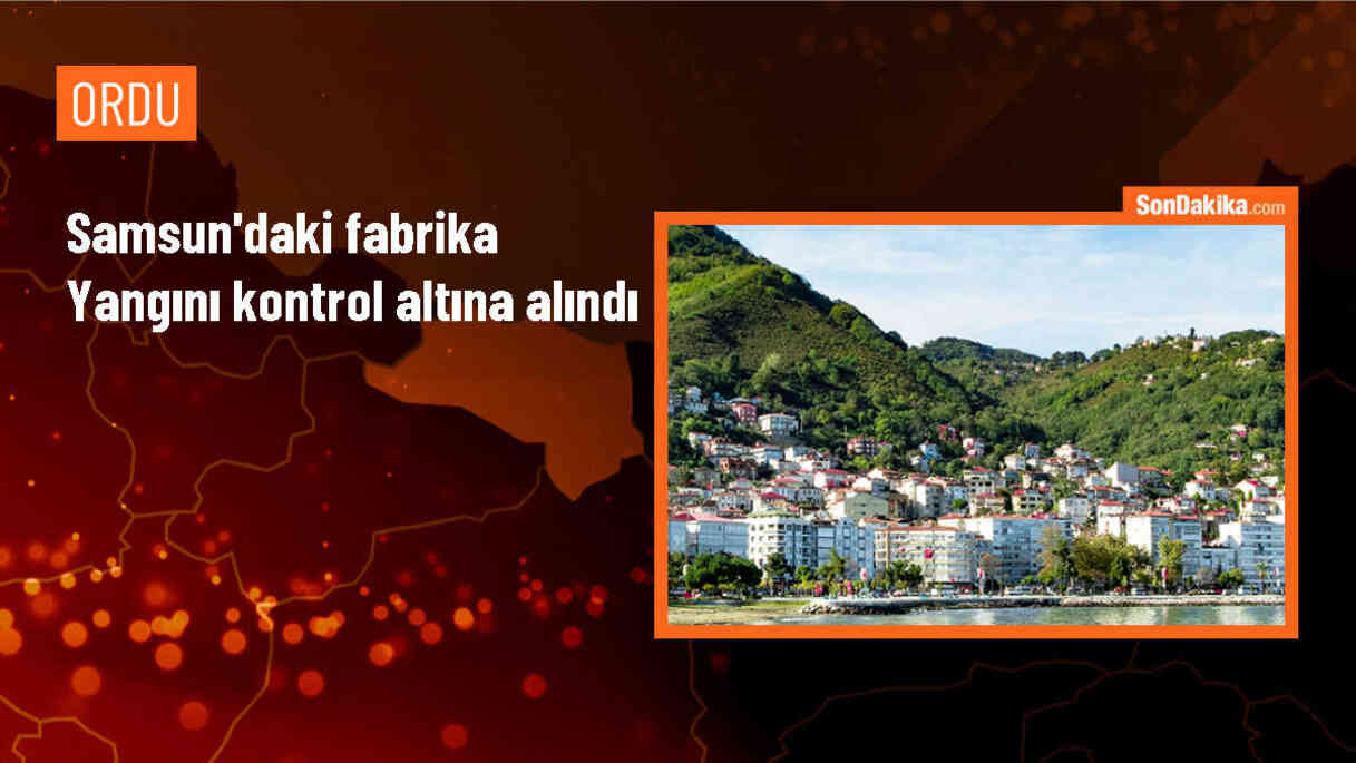 Samsun\'da çıkan yangın kontrol altına alındı