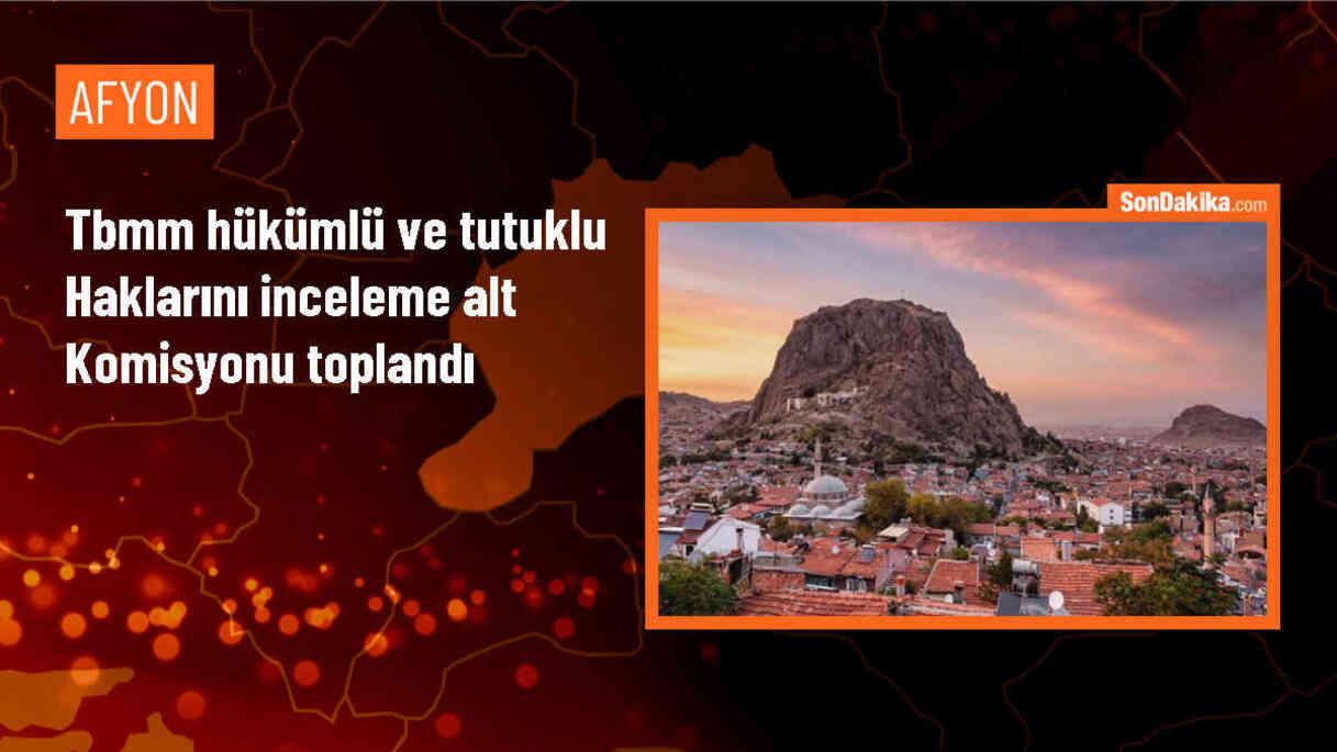 Hükümlü ve Tutuklu Haklarını İnceleme Alt Komisyonu Faaliyetlerini Değerlendirdi