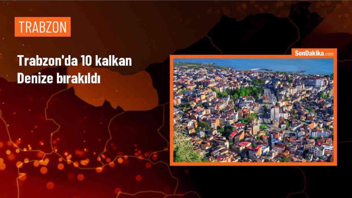 Trabzon\'da av yasağı döneminde yakalanan 10 kalkan tekrar denize salındı