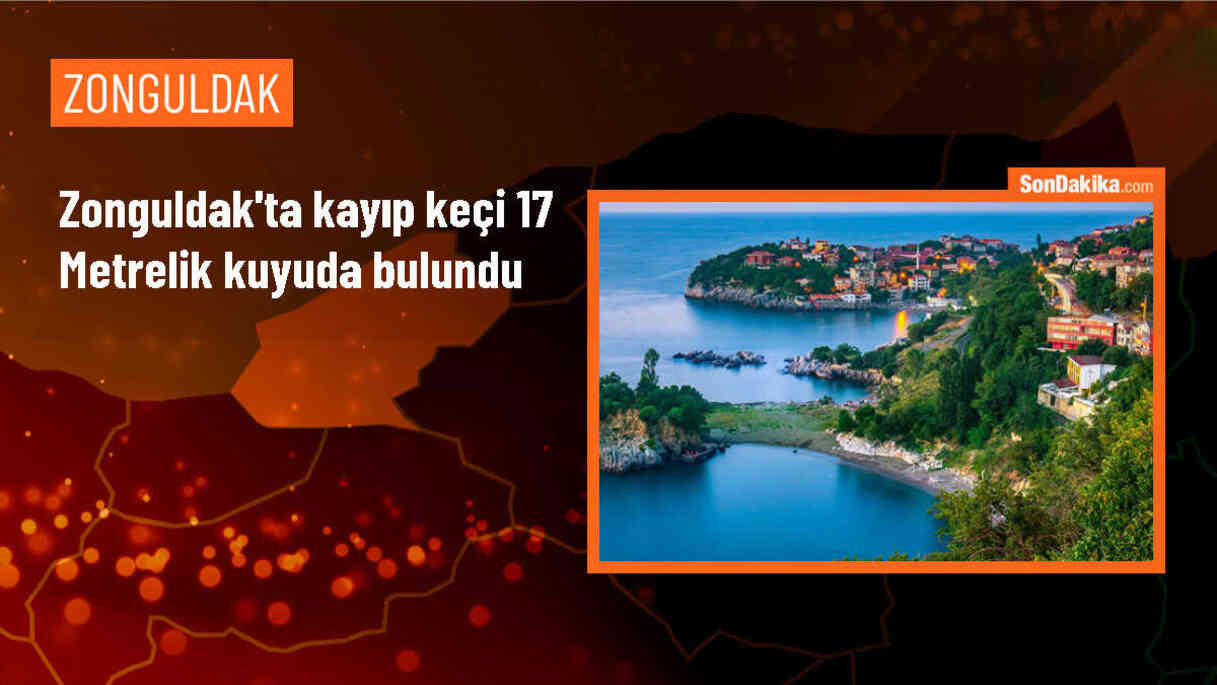 Zonguldak\'ta kuyuya düşen keçi itfaiye ekiplerince kurtarıldı