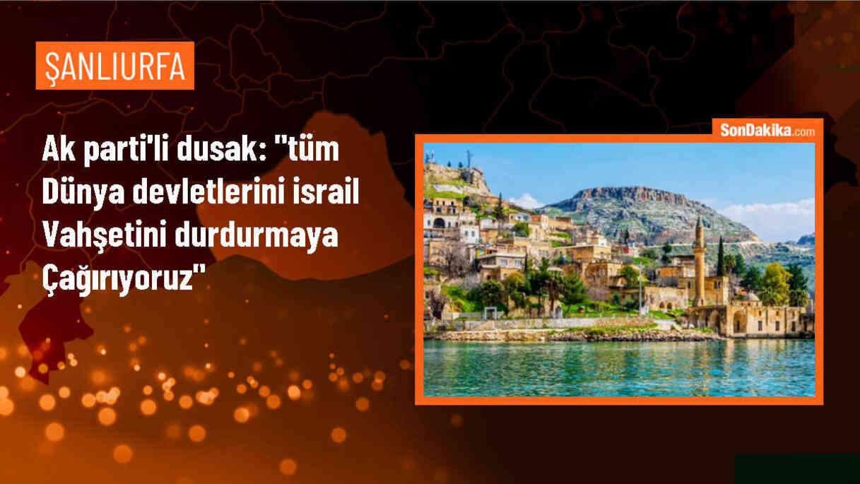 AK Parti Milletvekili Dusak, İsrail\'in vahşetine karşı dünya devletlerini müdahaleye çağırdı