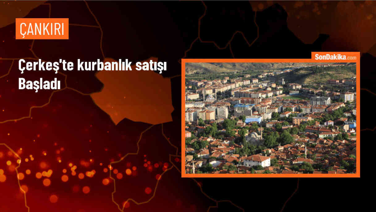 Çerkeş\'te Kurbanlık Satışı Başladı