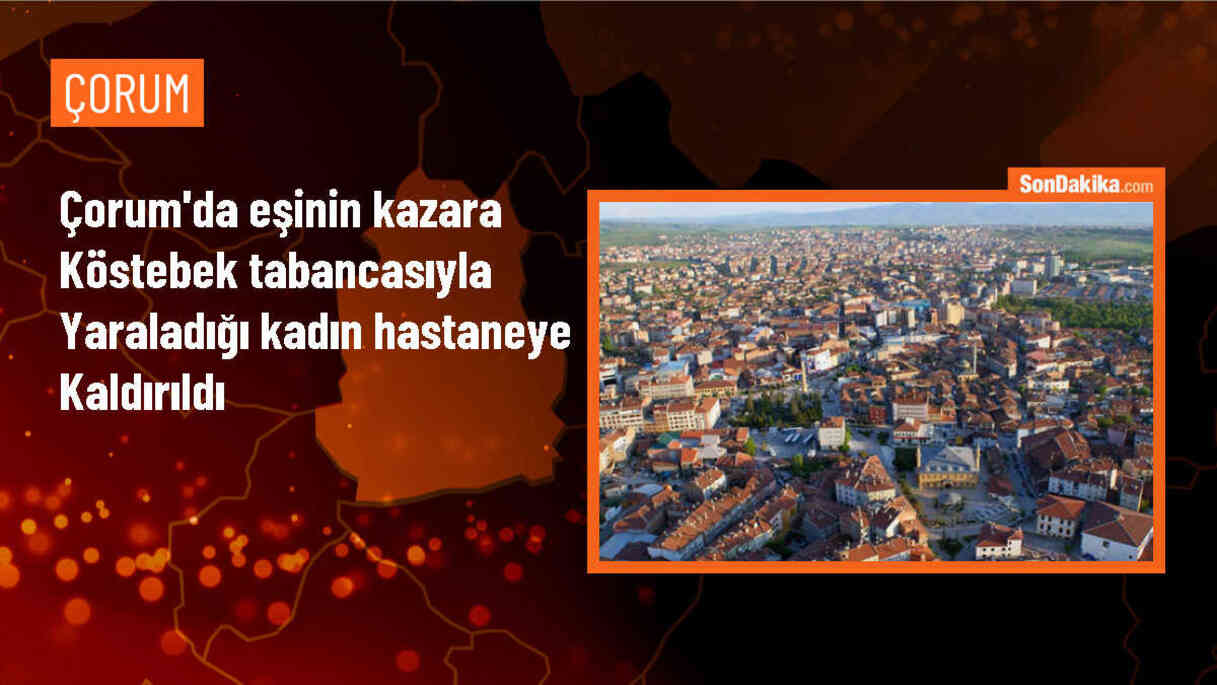 Çorum\'da köstebek tabancasıyla yaralanan kadın hastaneye kaldırıldı