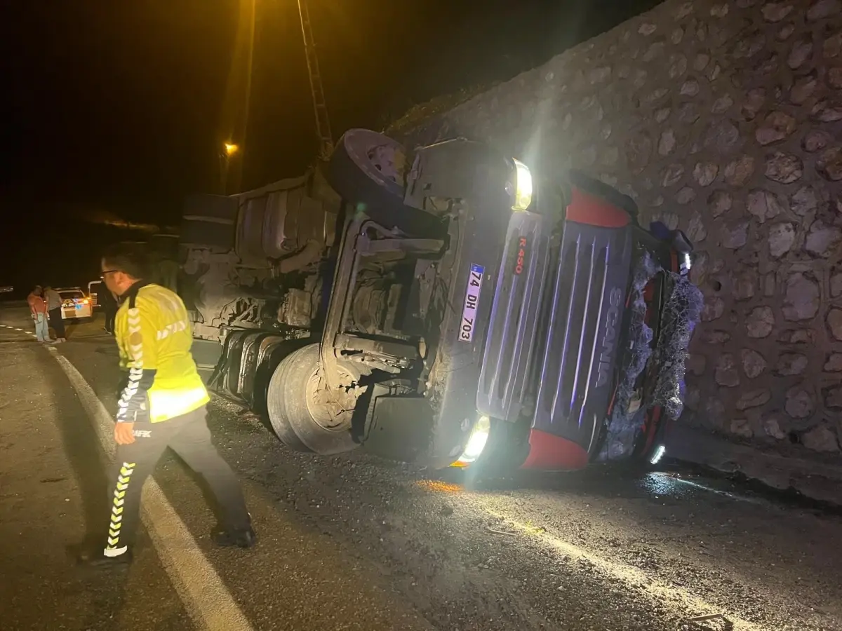 Siirt\'te TIR kazasında 100 koyun öldü