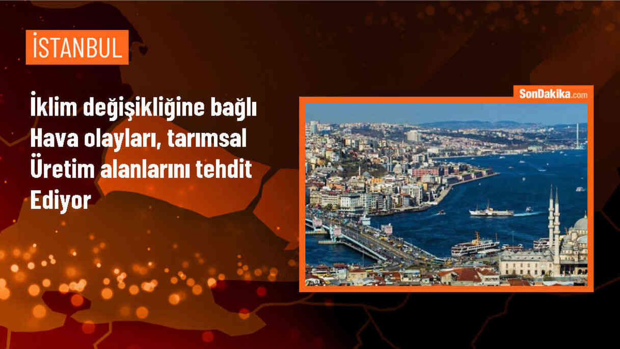 İklim Değişikliği Tarımsal Üretimi Olumsuz Etkiliyor