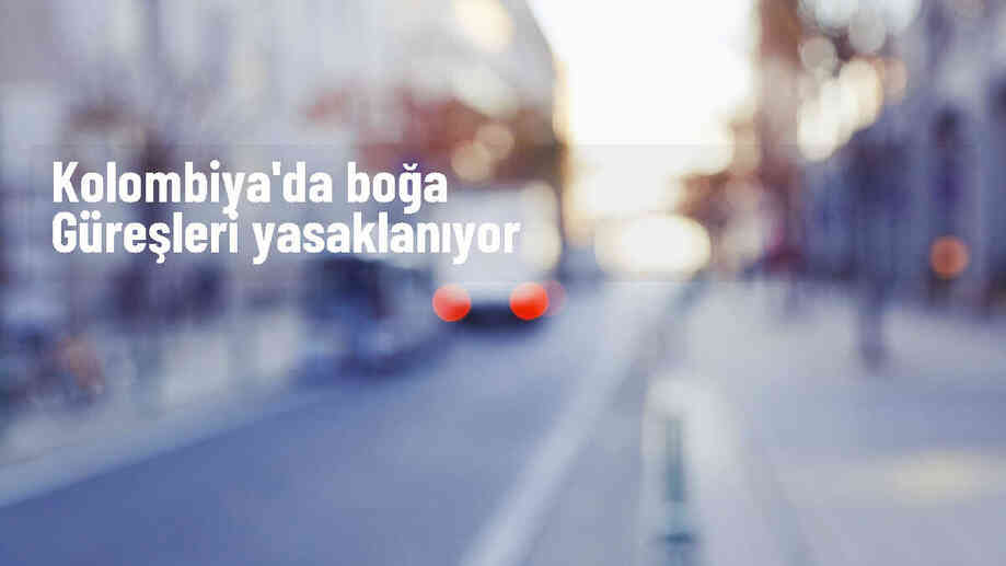 Kolombiya\'da boğa güreşi yasa tasarısı kabul edildi