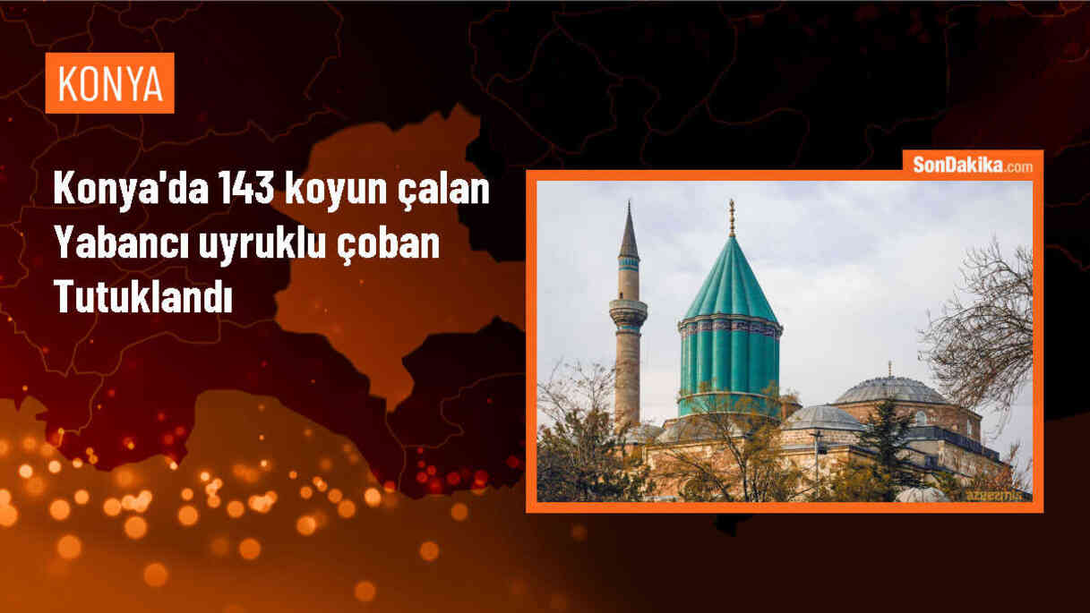 Konya\'da 143 Koyun Hırsızı Tutuklandı