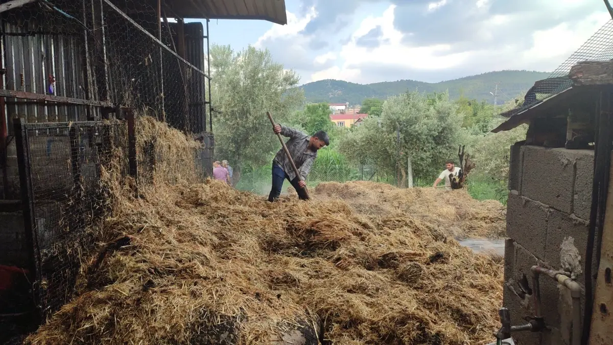 Kozan\'da Ahır Yangınında 15 İnek ve 6 Buzağı Öldü