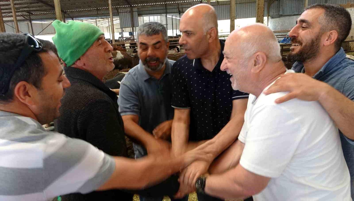 Mersin\'de Kurban Bayramı öncesi hayvan satışları başladı