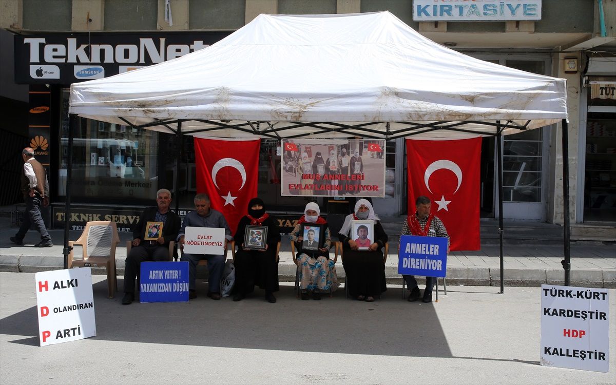 Muş\'ta Aileler, Çocuklarının Dağa Götürülmesinden DEM Parti\'yi Sorumlu Tutuyor