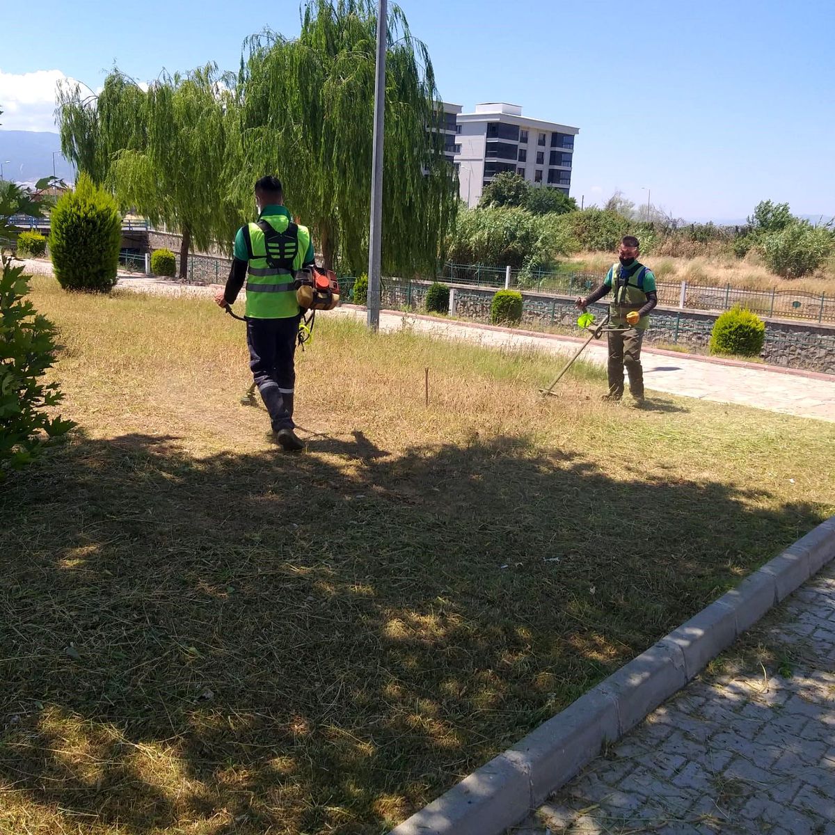 Nazilli Belediyesi Dallıca Çayı\'nda Temizlik Çalışması Başlattı