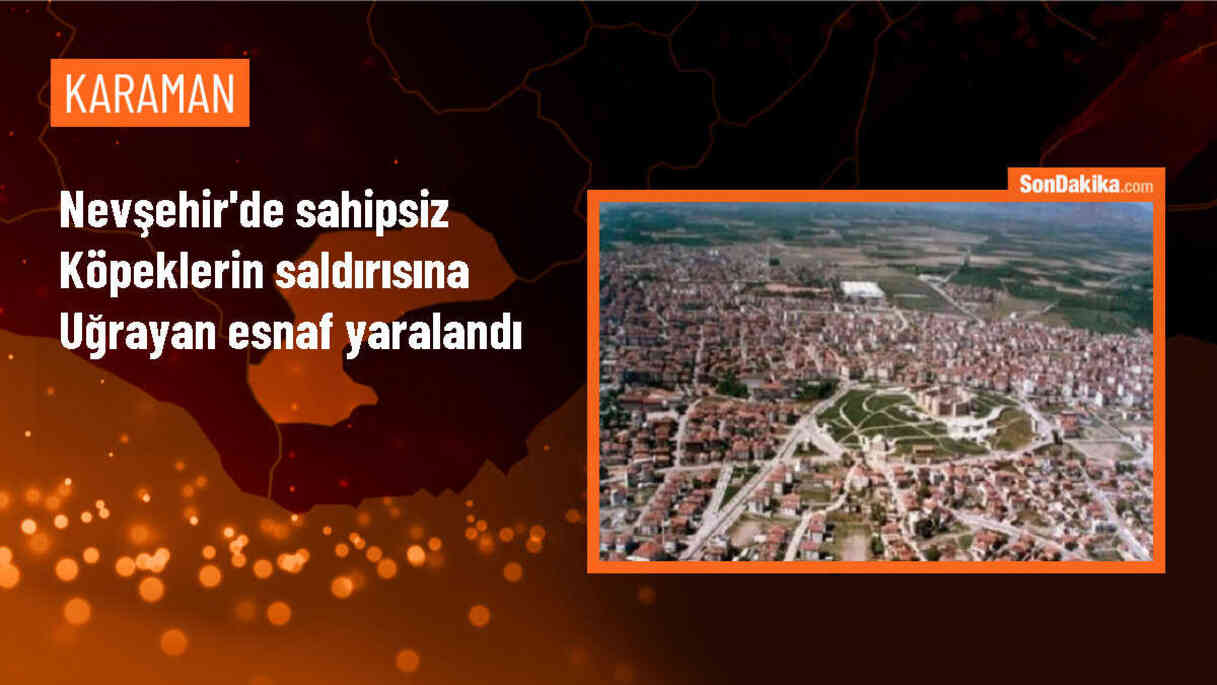Nevşehir\'de Esnaf, Sahipsiz Köpeklerin Saldırısına Uğradı
