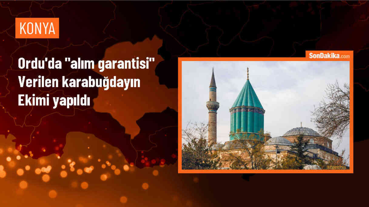 Ordu\'da Karabuğday Deneme Ekimi Yapıldı