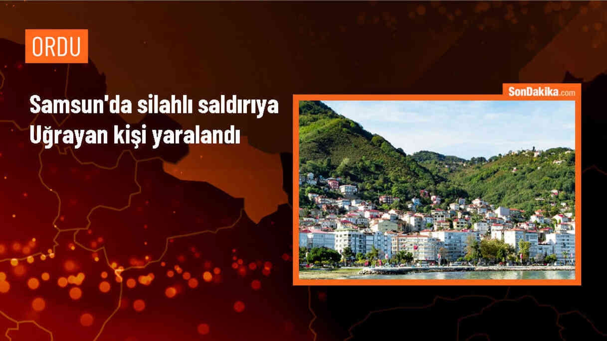 Samsun\'da Silahlı Saldırı: Bir Kişi Yaralandı