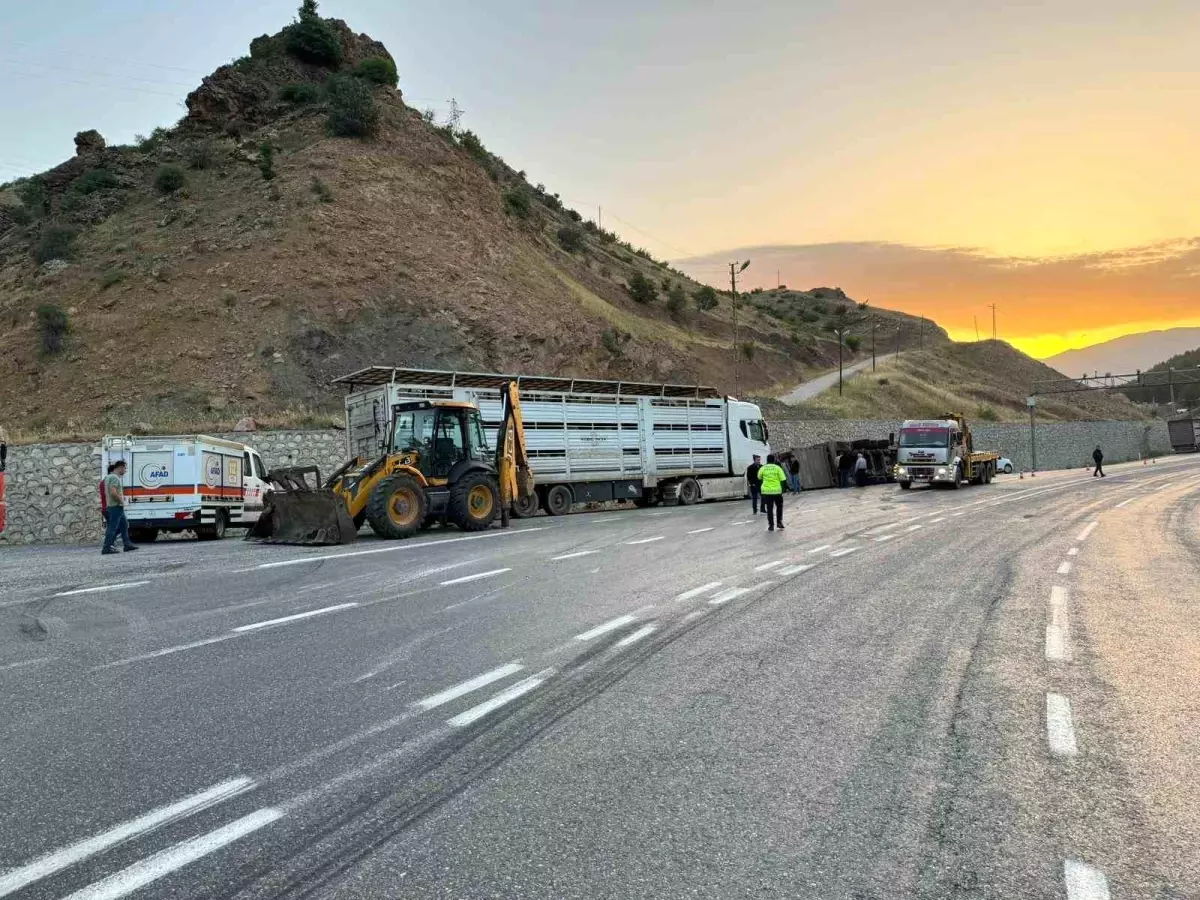 Siirt\'te Tır Devrildi: 2 Yaralı, 40 Küçükbaş Hayvan Telef Oldu