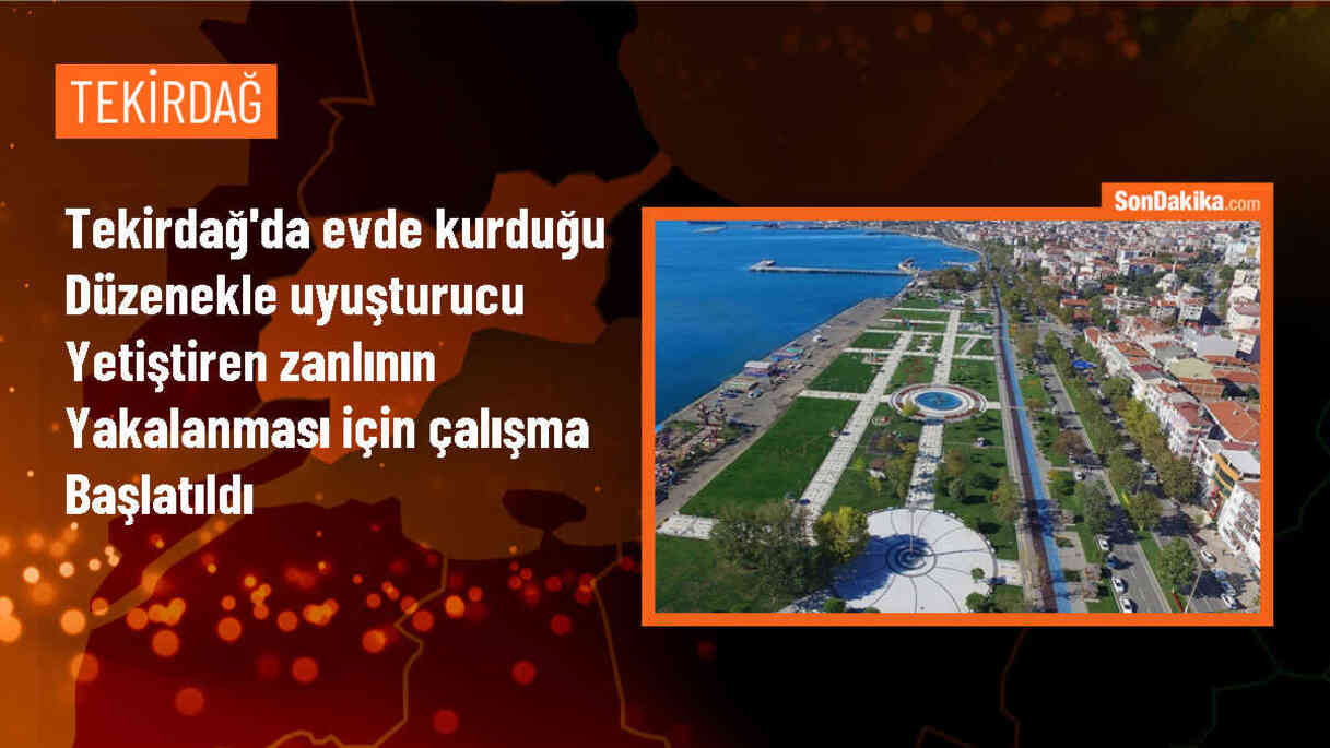 Tekirdağ\'da Evde Hint Keneviri Yetiştiriciliği Yapan Şüpheli Aranıyor