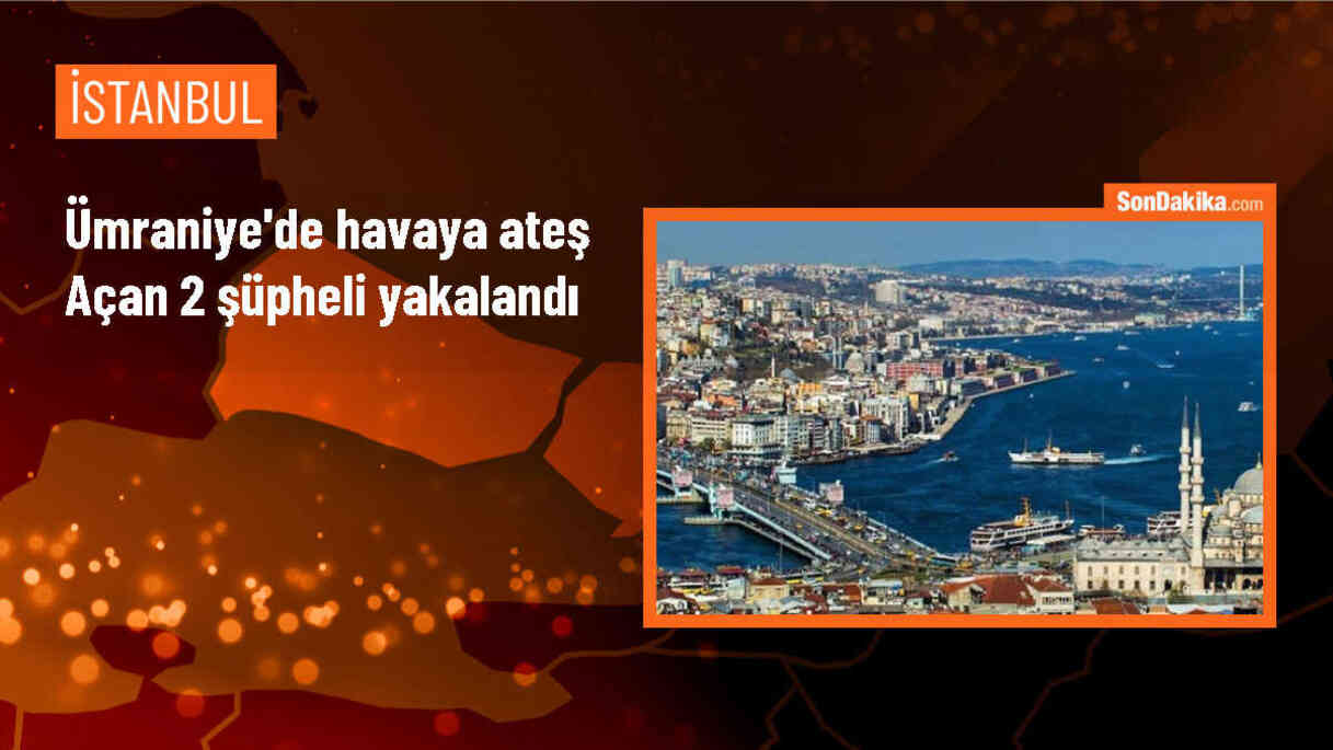 İstanbul Ümraniye\'de sosyal medyada havaya ateş açma görüntüsüne ilişkin 2 zanlı gözaltına alındı