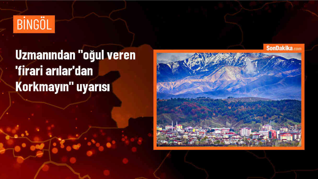Oğul veren arılar zararsızdır, yetkililere bildirilmelidir