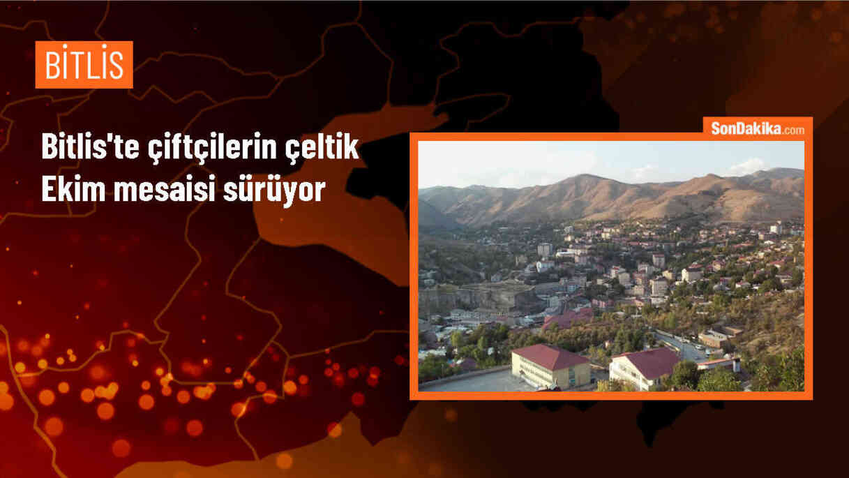 Bitlis Çeltikli Köyünde Çiftçiler Çeltik Ekimine Devam Ediyor