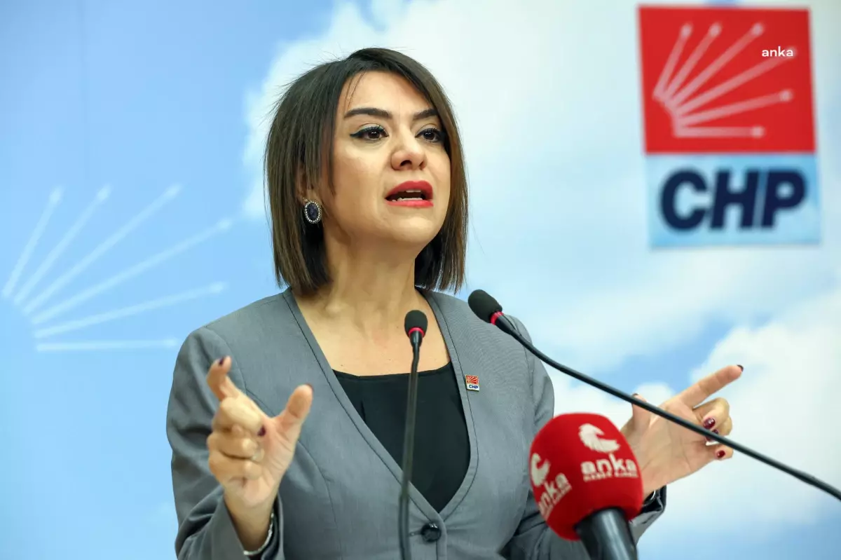 CHP Genel Başkan Yardımcısı Gamze Taşcıer: Milyonlarca yurttaşı esir alan yokluk yönetilemez boyuta ulaştı