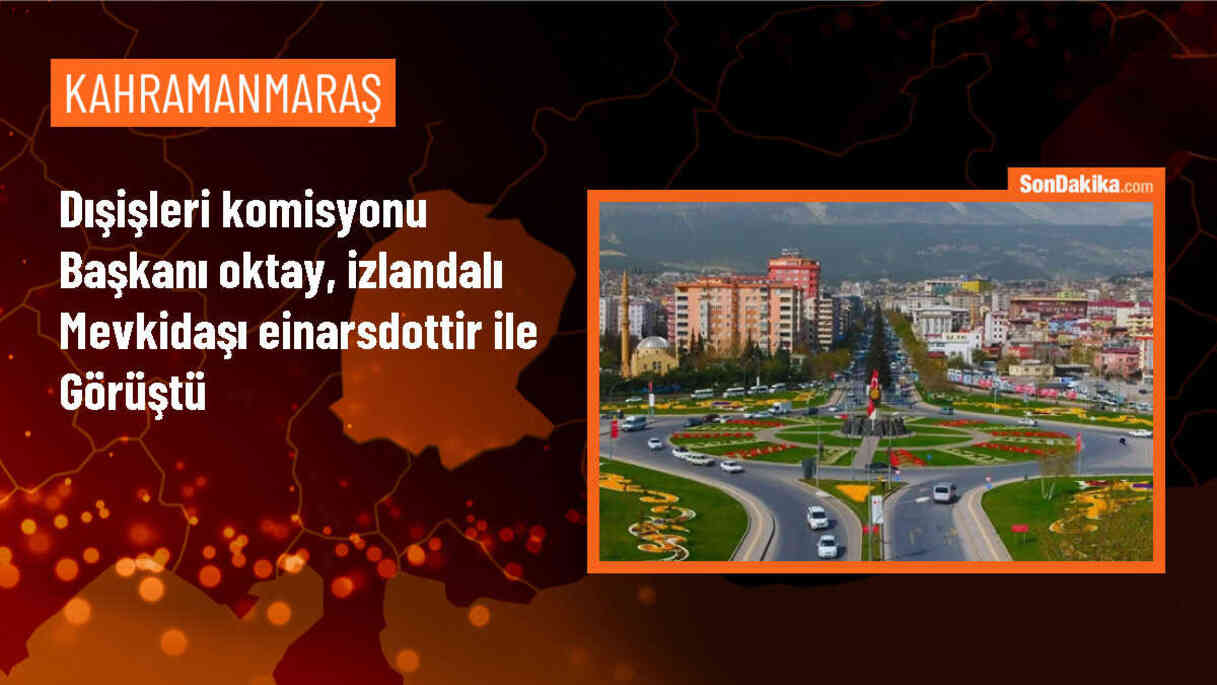 TBMM Dışişleri Komisyonu Başkanı Fuat Oktay, İzlanda Parlamentosu Dışişleri Komisyonu Başkanı Dilja Mist Einarsdottir ile Görüştü