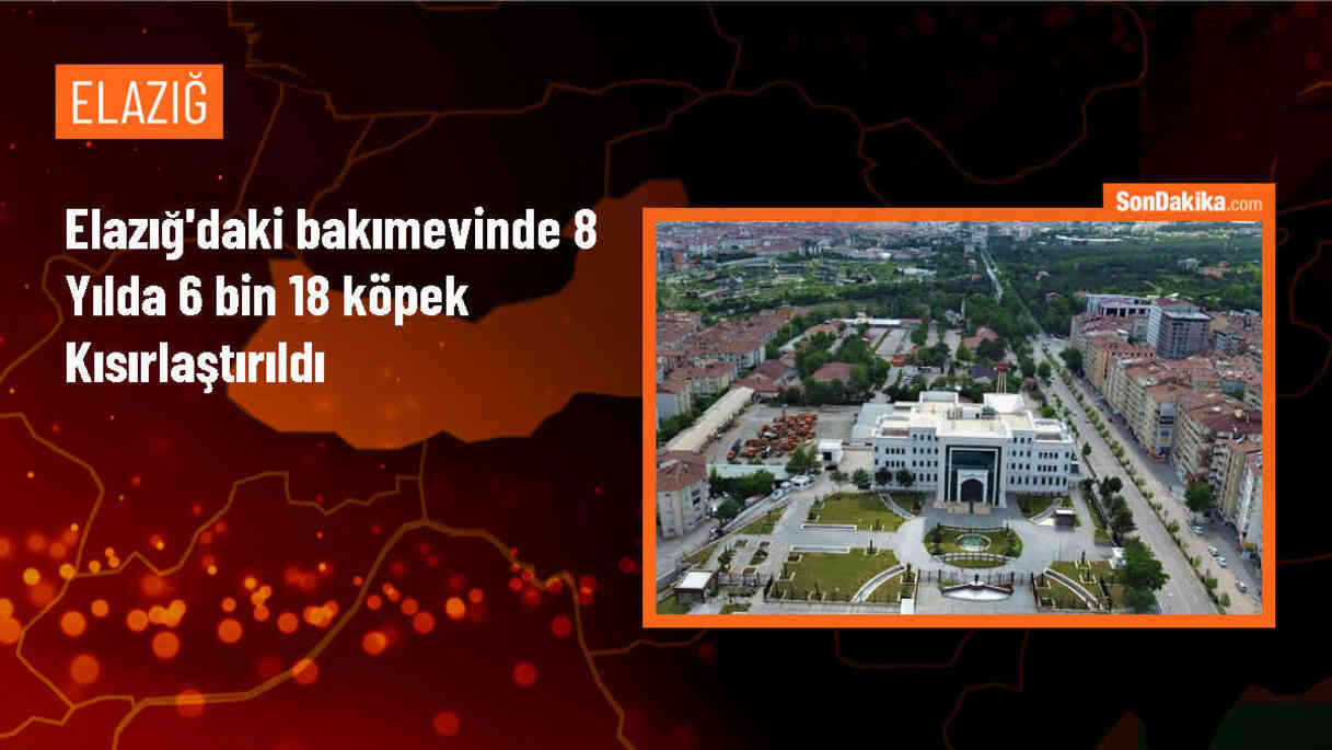 Elazığ Belediyesi Geçici Hayvan Bakımevi ve Rehabilitasyon Merkezi\'nde 8 Yılda 13 Bin 80 Hayvana Hizmet Verildi