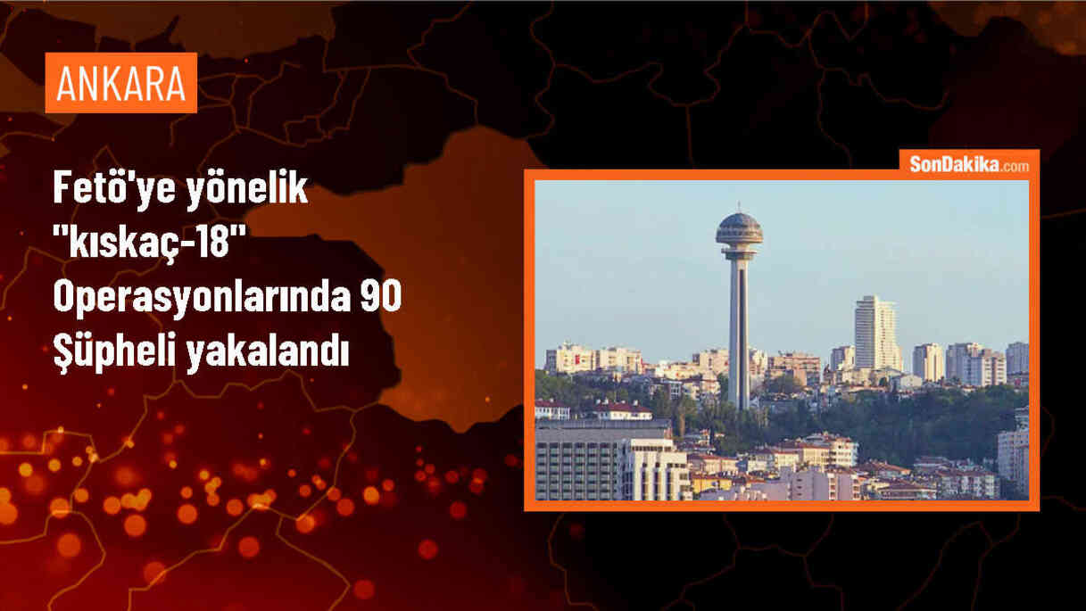 İçişleri Bakanı: FETÖ\'ye yönelik operasyonlarda 90 şüpheli yakalandı