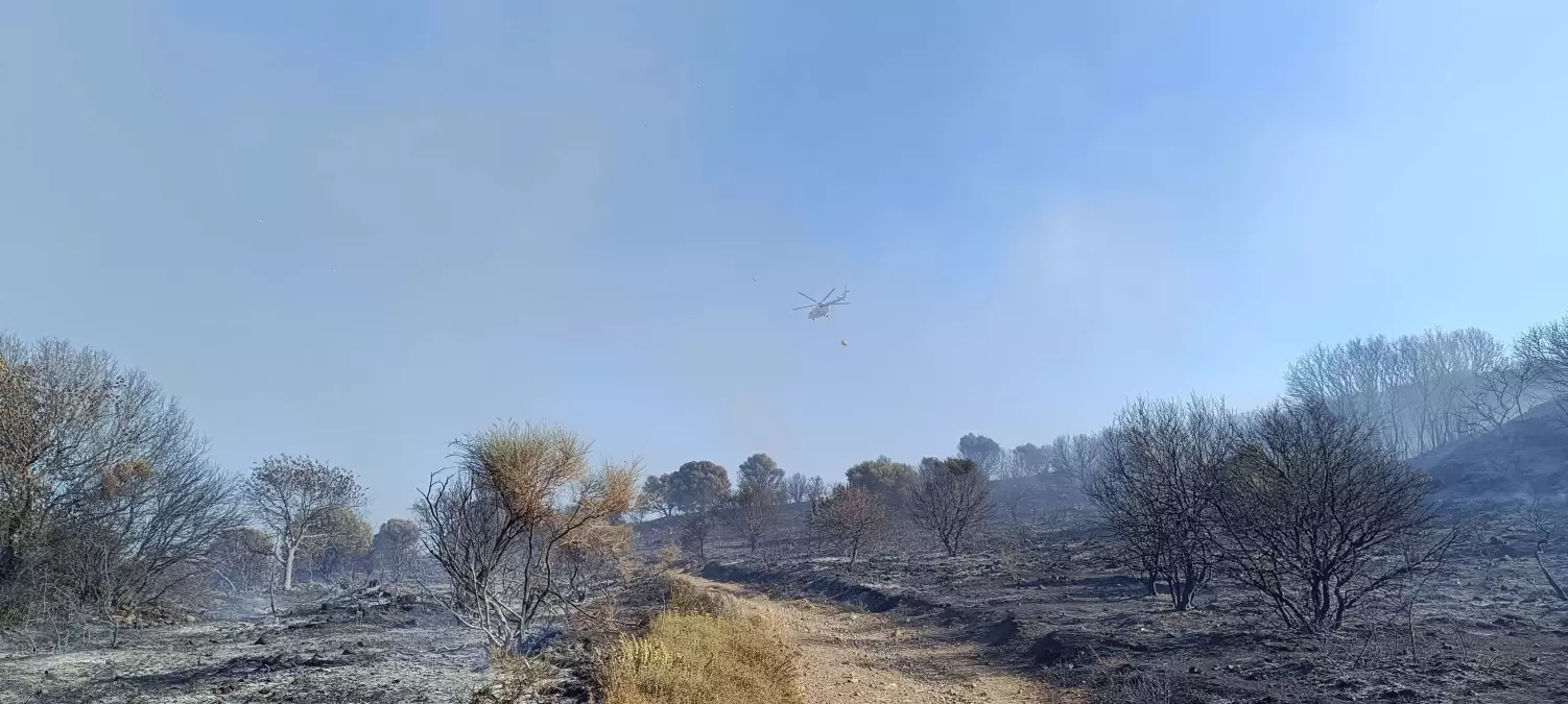 Foça\'da çıkan yangın kontrol altına alındı