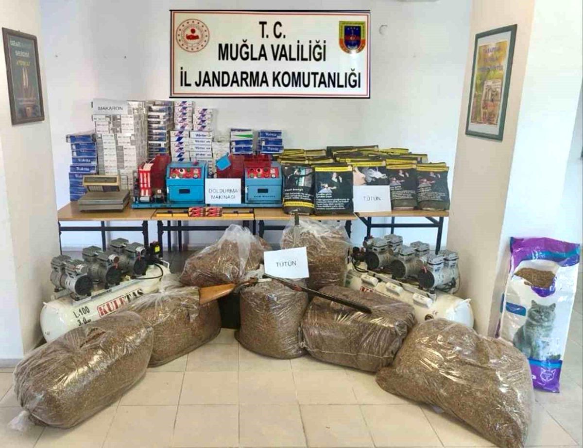 Muğla\'da sigara imalatı yapan şahıslara operasyon düzenlendi