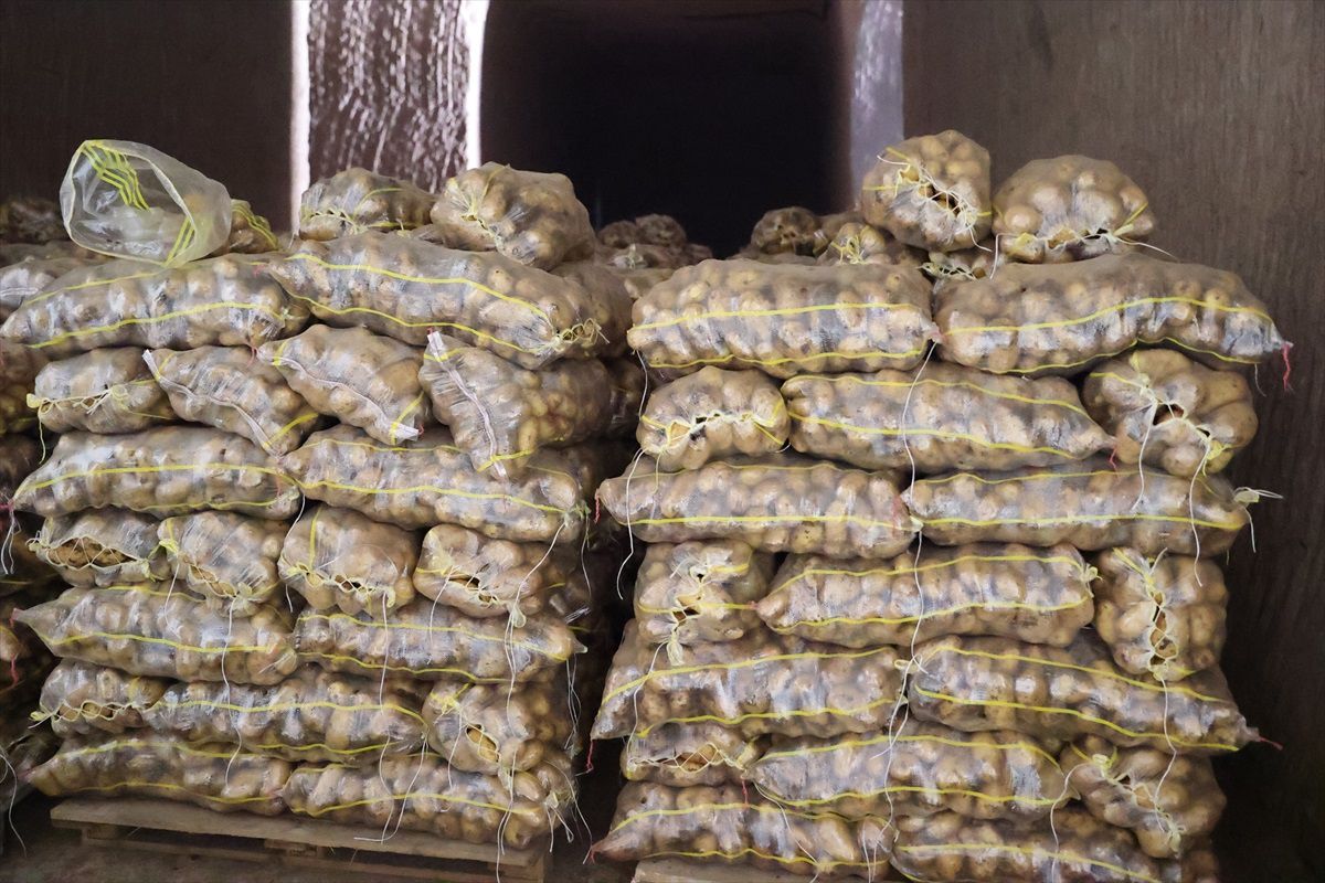 Kapadokya\'da Patates Fiyatları Sezon Boyunca Yükselmeyecek