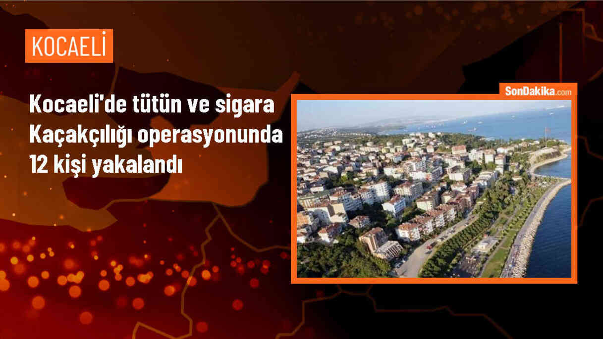 Kocaeli\'de düzenlenen operasyonda 12 şüpheli gözaltına alındı