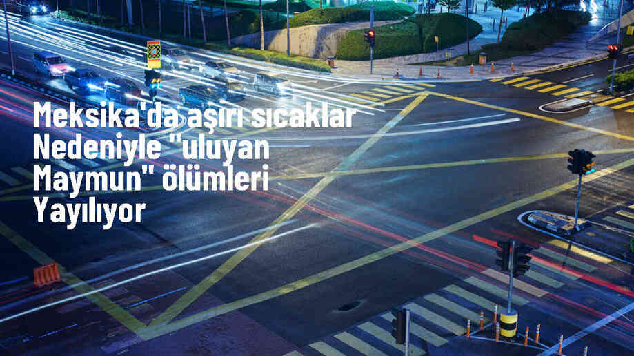 Meksika\'da Uluyan Maymun Ölümleri Yayılıyor