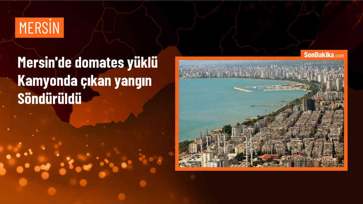 Mersin\'de domates yüklü kamyonda çıkan yangın söndürüldü