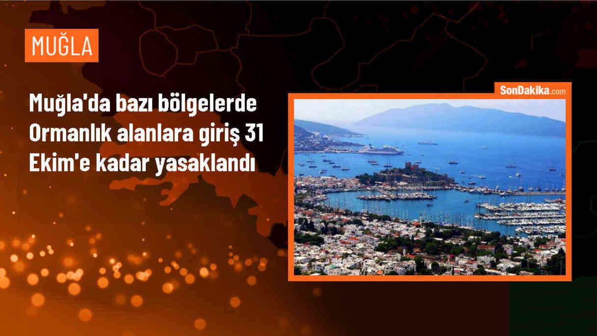 Muğla\'da Orman Yangınlarıyla Mücadele Komisyonu\'ndan Ormanlık Alanlara Giriş Yasağı