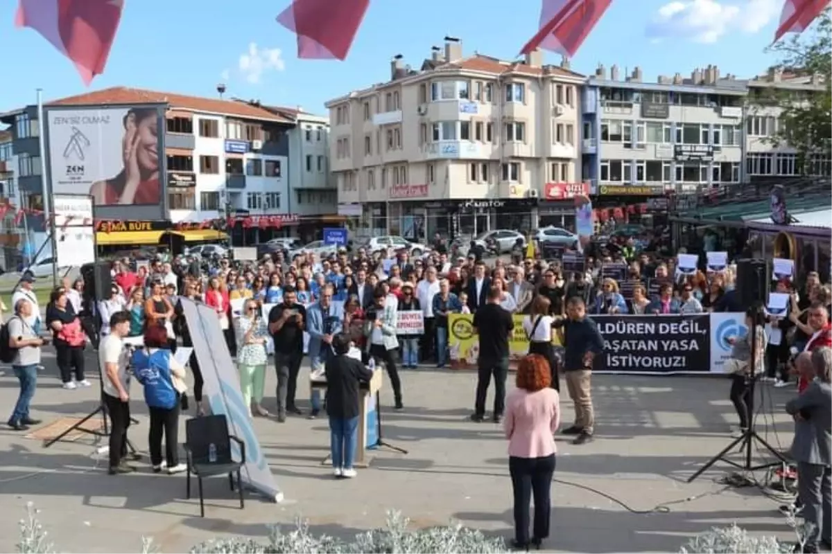 Tekirdağ Kent Konseyi, Sokak Hayvanları Yasa Tasarısını Protesto Etti