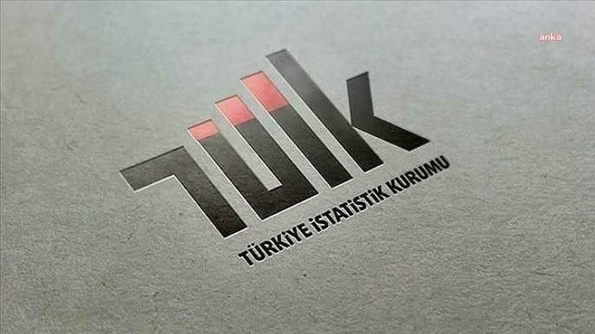 TÜİK: Türkiye\'de okuma yazma bilmeyenlerin oranı yüzde 2,4