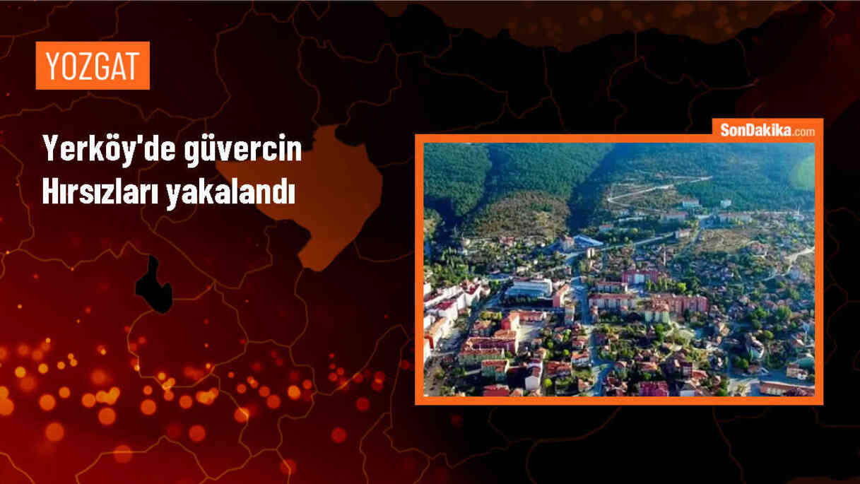 Yerköy\'de Güvercin Hırsızlığı Şüphelileri Yakalandı