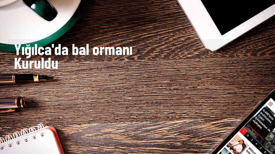 Yığılca\'da Orman Köylüleri İçin Yeni Bal Ormanı Oluşturuldu