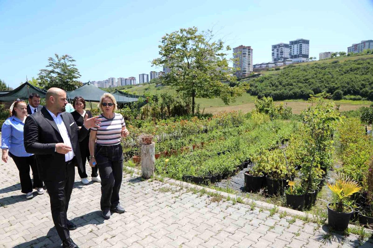 Atakum Belediyesi Park ve Bahçeler Müdürlüğü Sera Alanı