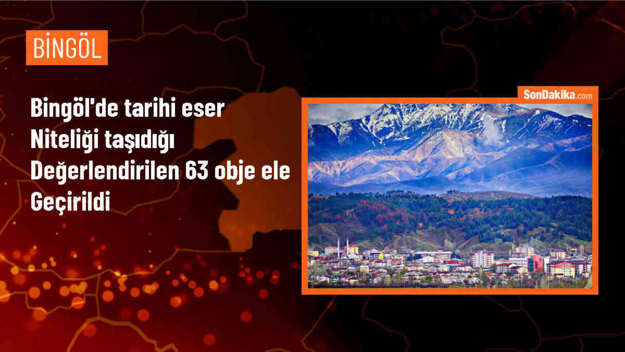 Bingöl\'de tarihi eser niteliği taşıyan 63 obje ele geçirildi, 2 zanlı gözaltına alındı