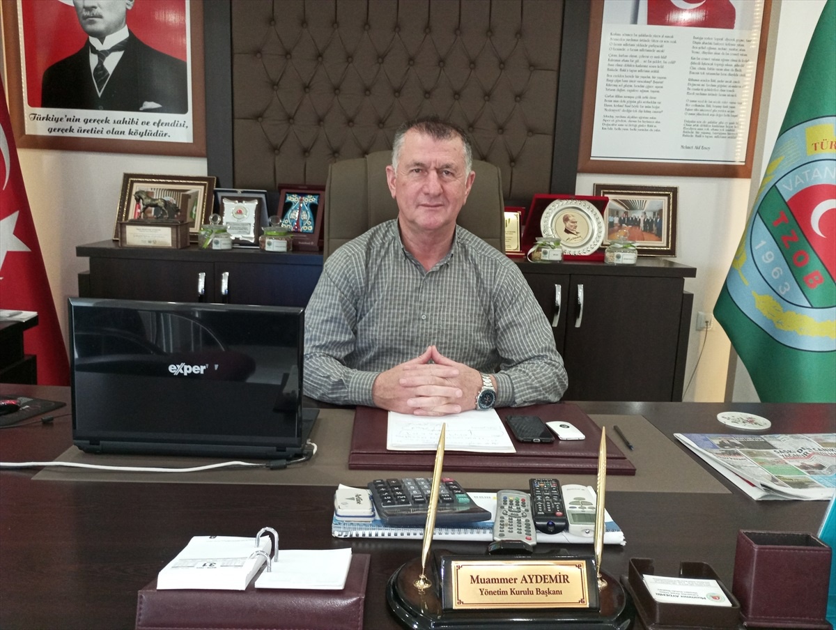 Çarşamba Ziraat Odası Başkanı: Fındık rekolte tahminleri inandırıcı değil