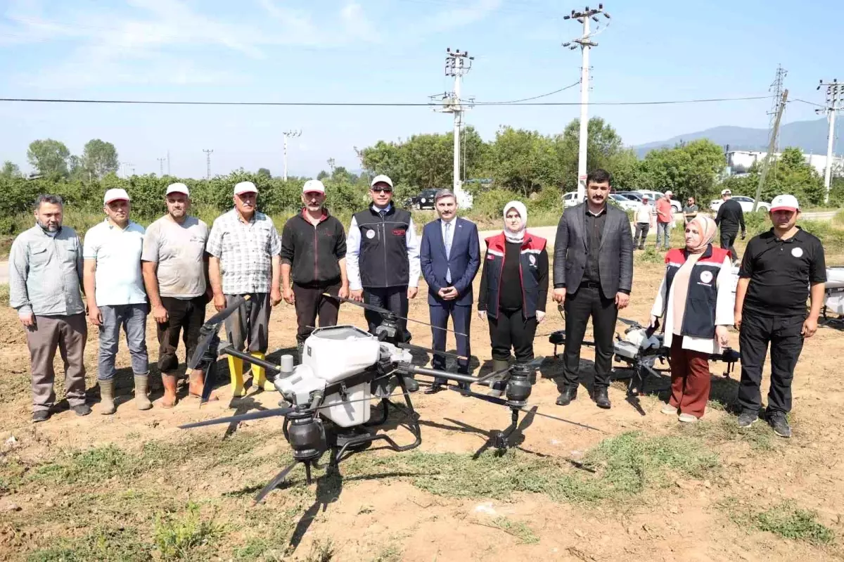 Düzce\'de Konuralp Pirinci Drone ile Ekildi