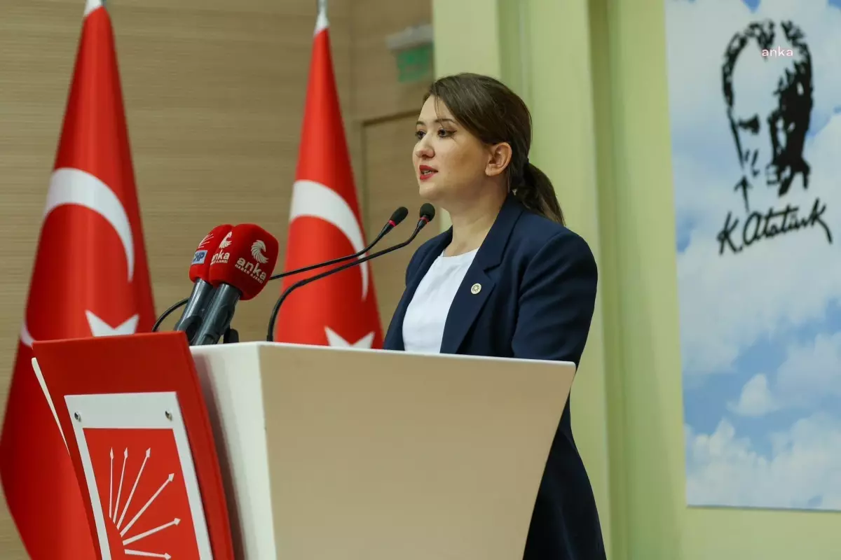 CHP Genel Başkan Yardımcısı Gökçe Gökçen\'den kadınların soy adı düzenlemesiyle ilgili uyarı