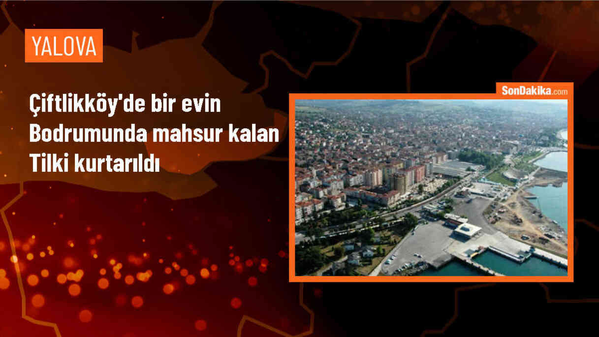 Yalova\'da mahsur kalan tilki itfaiye tarafından kurtarıldı