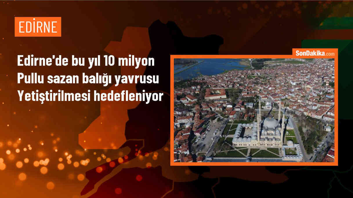 İpsala\'da Su Ürünleri Üretim İstasyonu\'nda 10 Milyon Pullu Sazan Yavrusu Yetiştirilecek