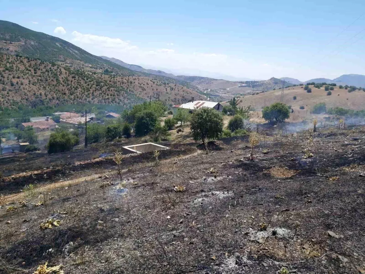 Elazığ\'da kurumuş otların bulunduğu alanda çıkan yangın kontrol altına alındı